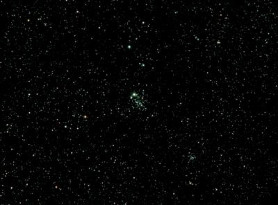 images/dragonfly-cluster.jpg