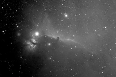 images/horsehead-bw.jpg