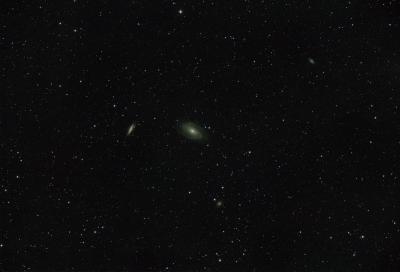 images/m81-m82.jpg