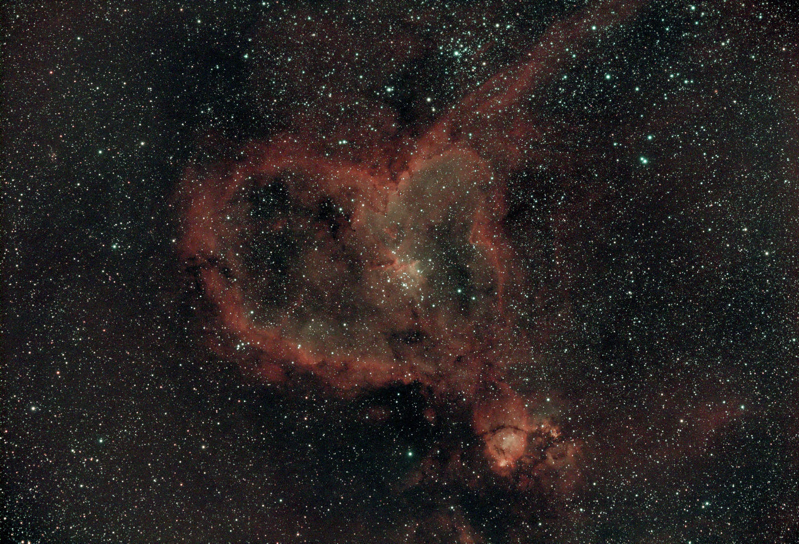 the heart nebula