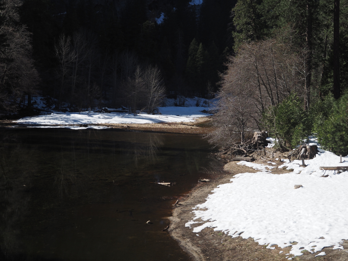 Snow on the banks of the Merced River