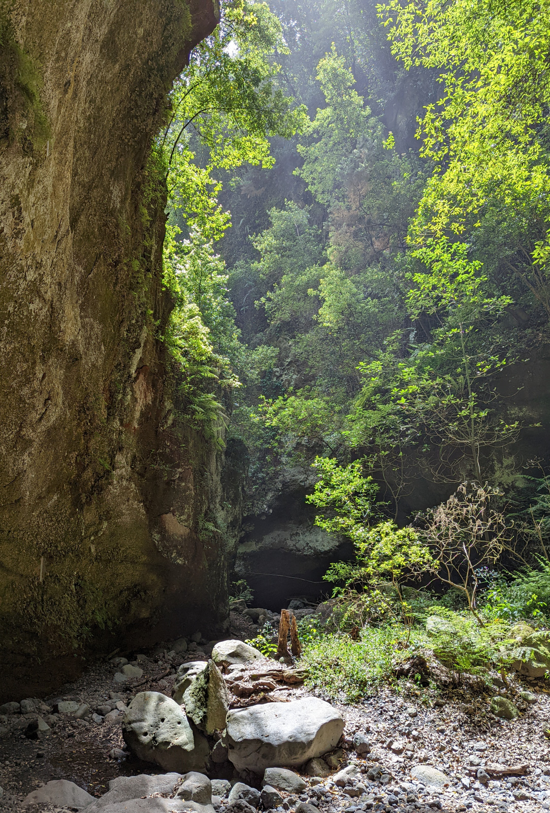 Hikers in a deep green canyon
