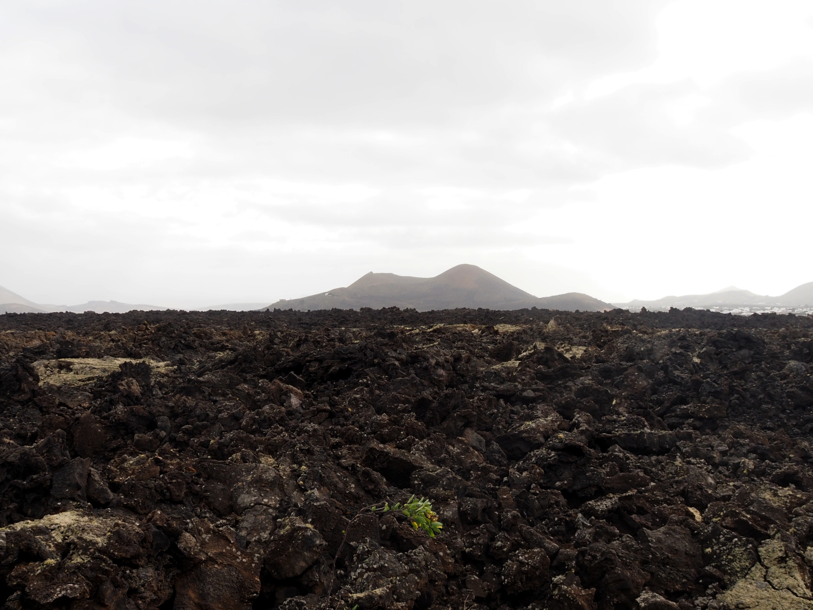 Volcanic landscape with A'a lava flows