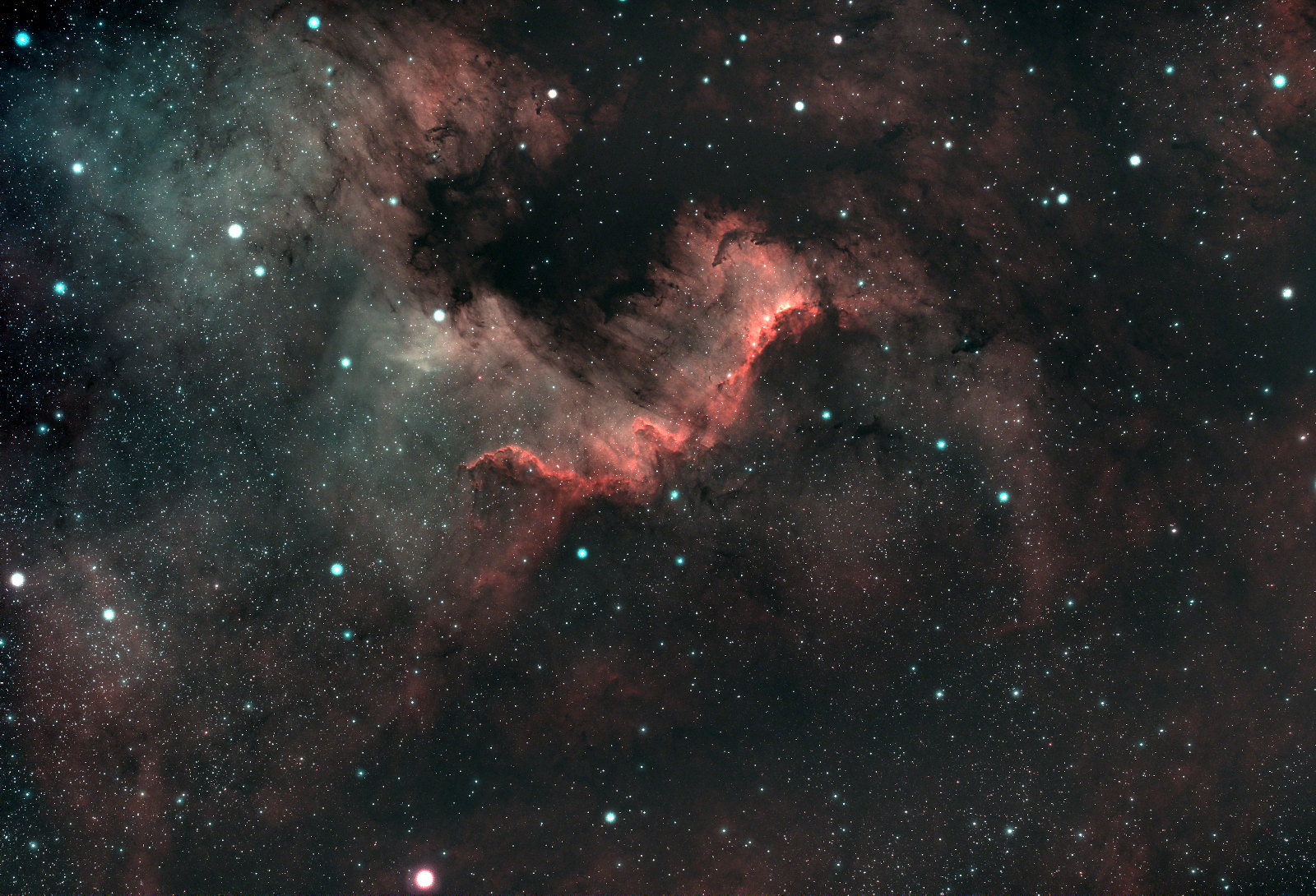The "Cygnus Wall", an irregular band of nebulosity in the North American Nebula.