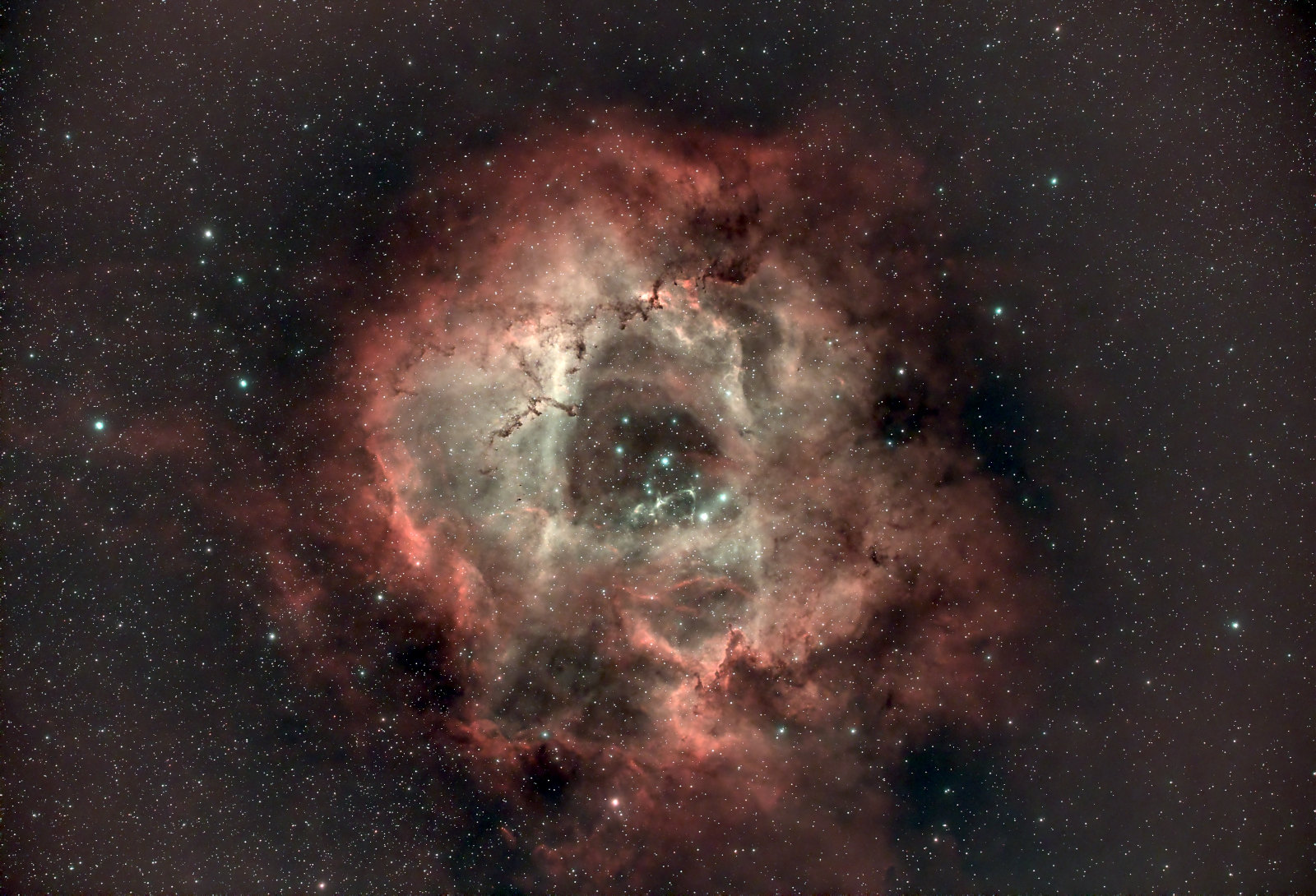 The standard view of the Rosette Nebula
