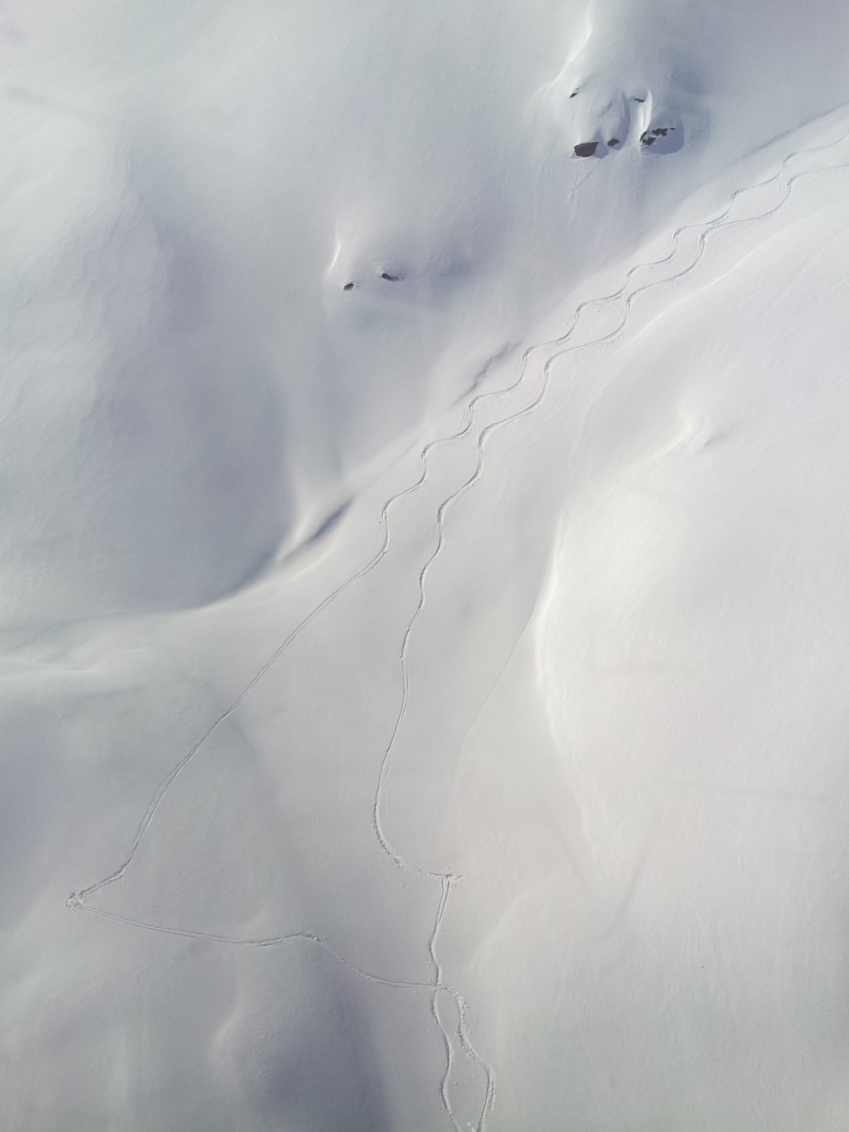 Ski trails across a billowy snowscape
